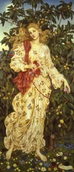 Flora, 1894